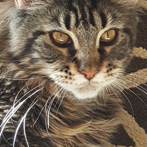 Meet your Posher, Nancy